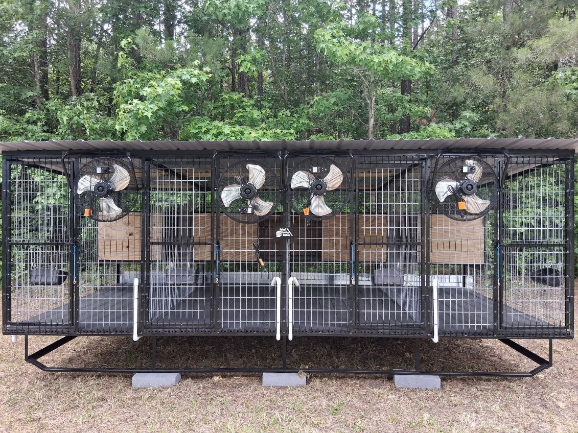 3-Bay Kennel on Concrete
