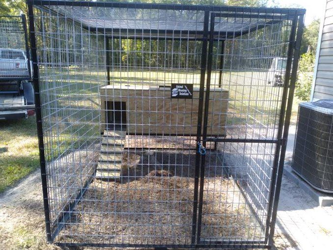 Raccoon Enclosure