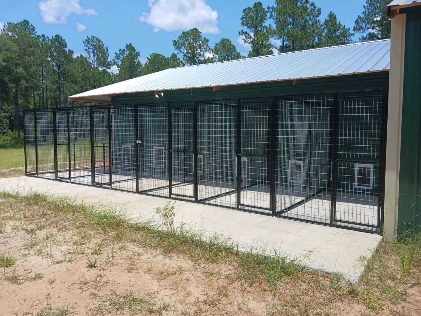 Multi-run kennel building by Animal Housing Solutions