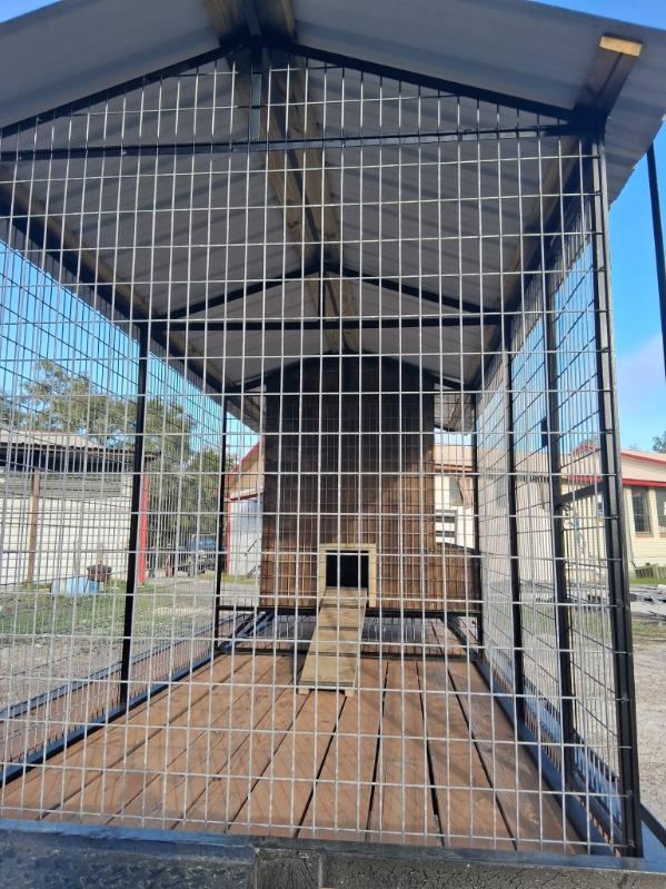Walk-in aviary interior